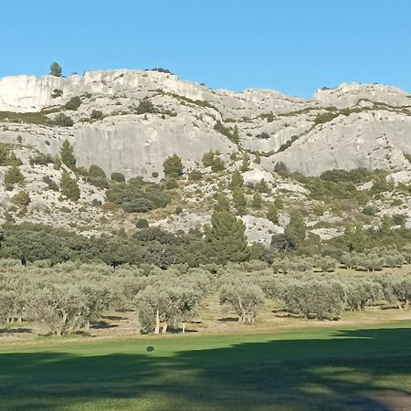 Chambre D'Hote Au Coeur Des Alpilles Mouries Kültér fotó
