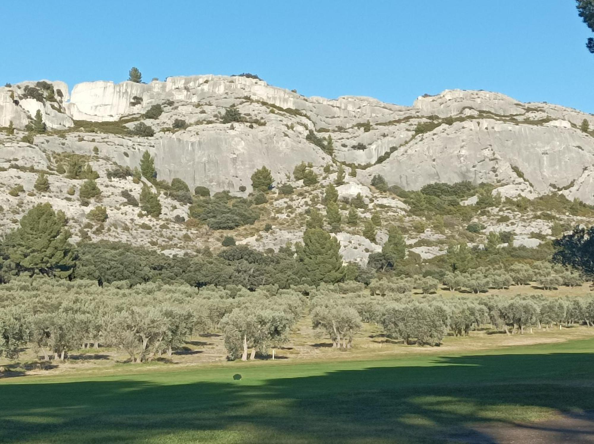 Chambre D'Hote Au Coeur Des Alpilles Mouries Kültér fotó